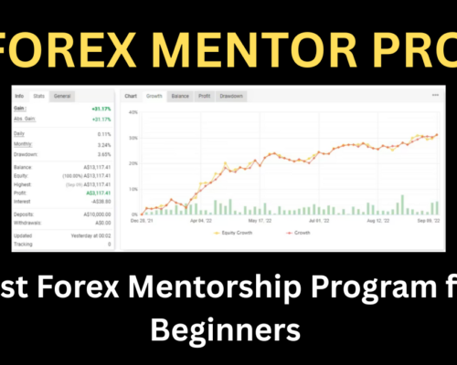 Best Forex Mentorship Program for Beginners