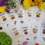 Best Medicinal Plants Book PDF