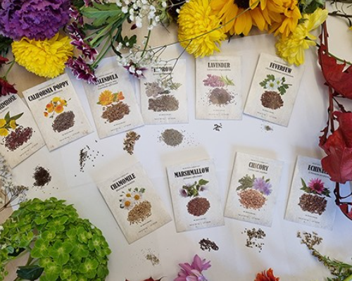 Best Medicinal Plants Book PDF