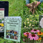 The Medicinal Garden Kit Nicole Apelian