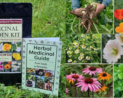 The Medicinal Garden Kit Nicole Apelian